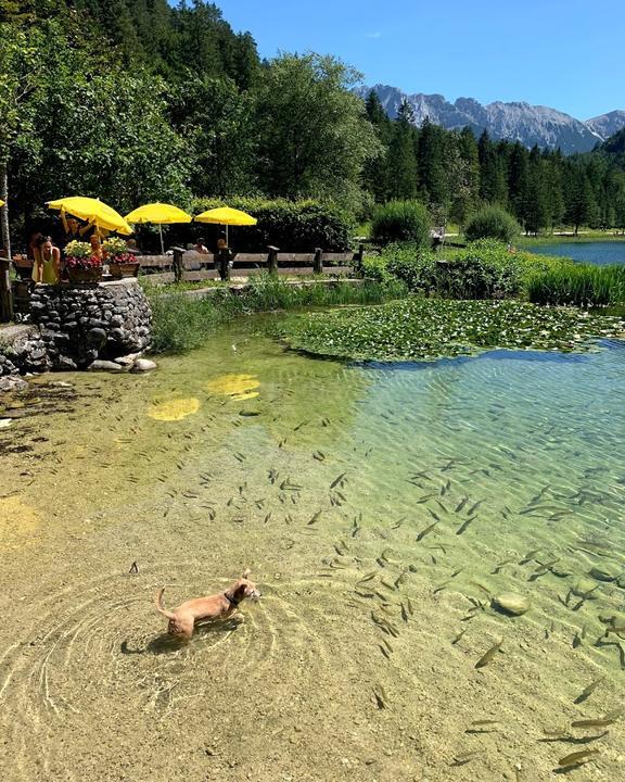 Gasthaus Ferchensee